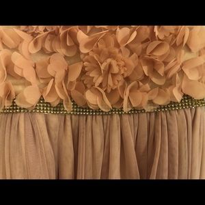 Girls Beautiful blush Dress